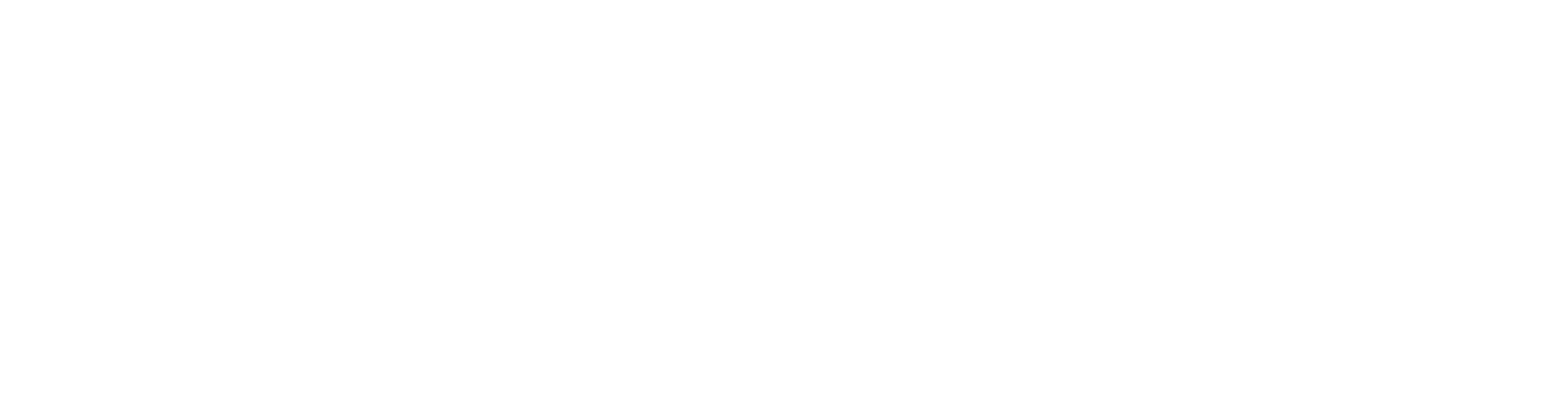 White logo – no background – Reveloop